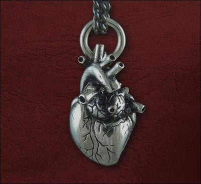 Collier Coeur Anatomie - Maison de la Science