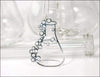 Collier Erlenmeyer Fiole Potion - Maison de la Science