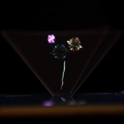 Hologramme 3D pour Smartphone - Maison de la Science